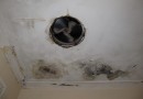 Causes of Mould Infestation