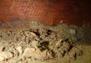 Thorough Termite Inspection