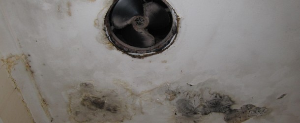 Causes of Mould Infestation